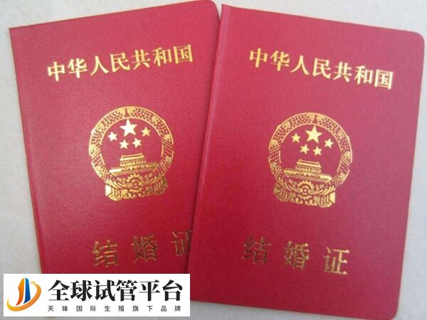 没有结婚证做不了试管