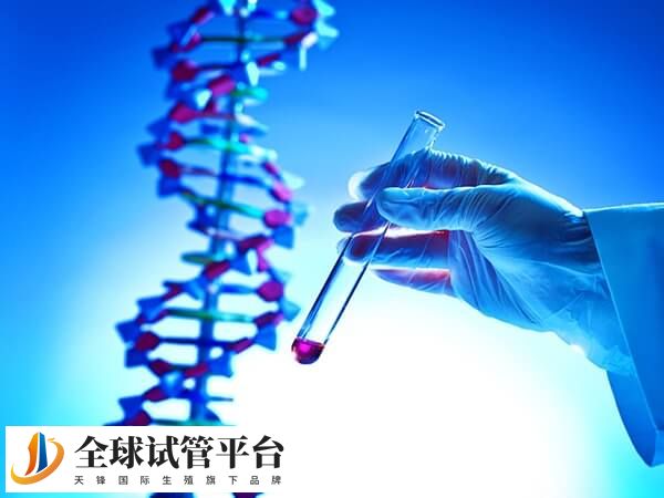 有性遗传家庭可通过三代试管选性别