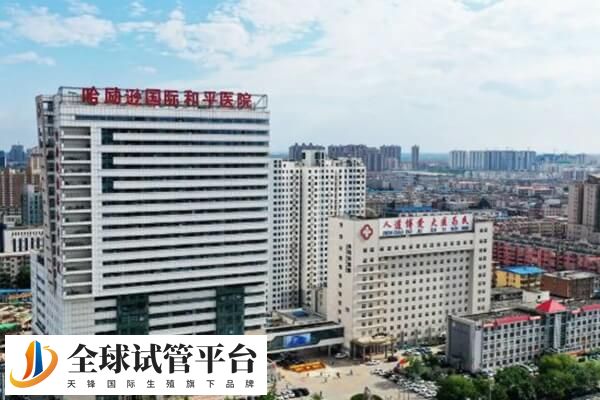 哈励逊国际和平医院生殖医学科可以做试管婴儿吗？