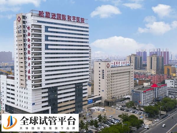 衡水可以做供卵试管的正规生殖中心有哪些？