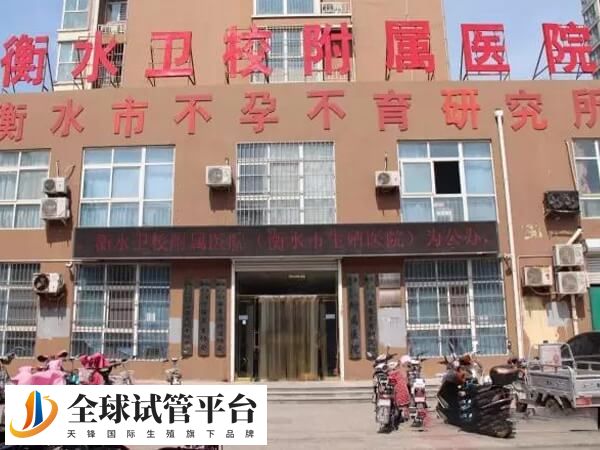 衡水市生殖医院做试管婴儿费用高吗？