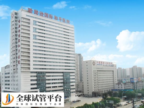 衡水哈院和二院哪个医院看不孕不育好？