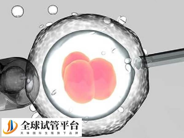 供卵试管适合高龄女性