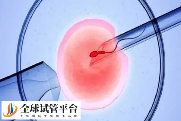 一代和二代试管费用有几千元的差距