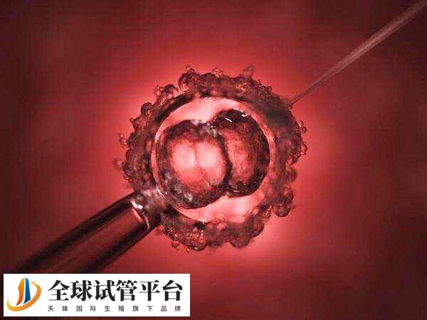 深圳哪家医院可以做供卵试管？