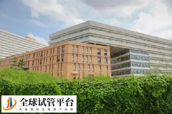 做试管佛山市一好还是妇幼好？