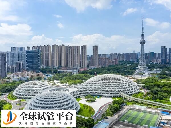 在佛山哪里的医院做复通手术比较好？