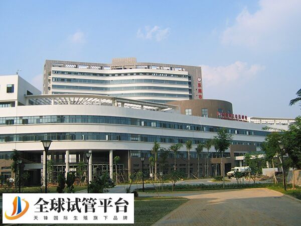 东莞妇幼保健院试管婴儿收费标准很高吗？