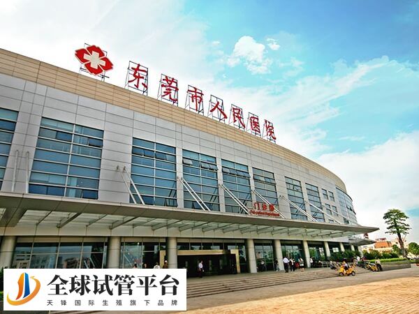 东莞市人民医院做试管婴儿单周期费用大约多少？