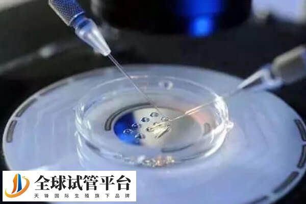 去东莞公立三甲医院做一次试管婴儿要花费多长时间？