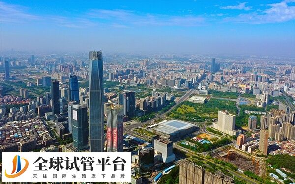 东莞只支持一代和二代试管