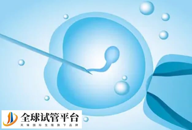 东莞支持一代和二代试管婴儿技术