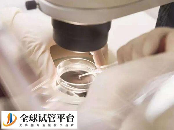 三代试管婴儿实验室操作费用比一代二代都贵