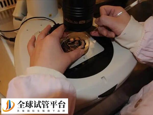 珠海做供卵试管婴儿准备10万元够吗？