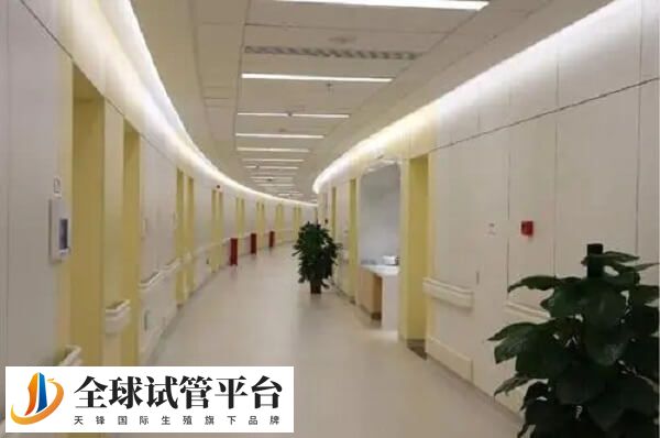 珠海哪里有能做供卵试管的医院？