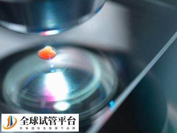 江门中心医院人授成功率接近自然妊娠率