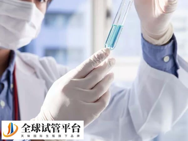 每个人试管婴儿前期检查时间都是不同的