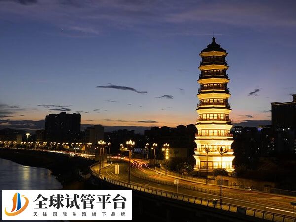 肇庆只有一家医院开展了辅助生殖技术