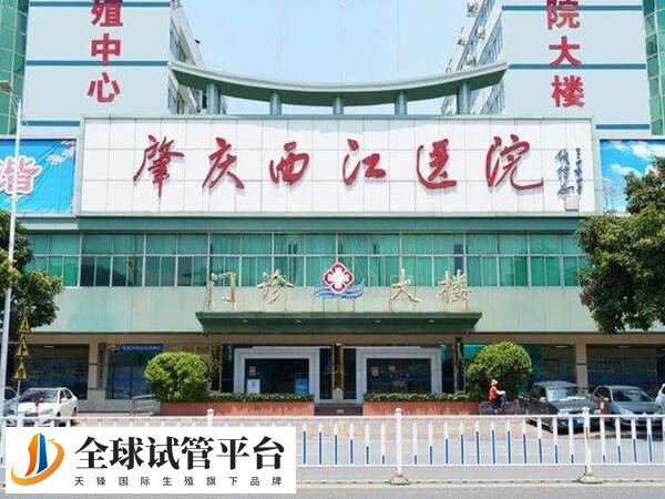 肇庆什么医院可以做试管生双胞胎？