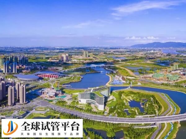 肇庆有正规试管婴儿医院