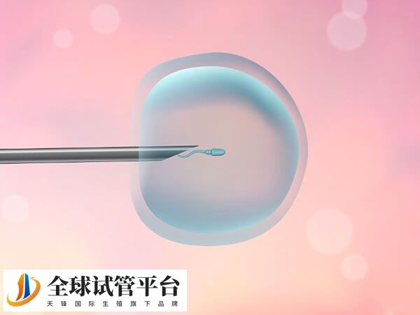 肇庆西江医院未开展三代试管婴儿技术