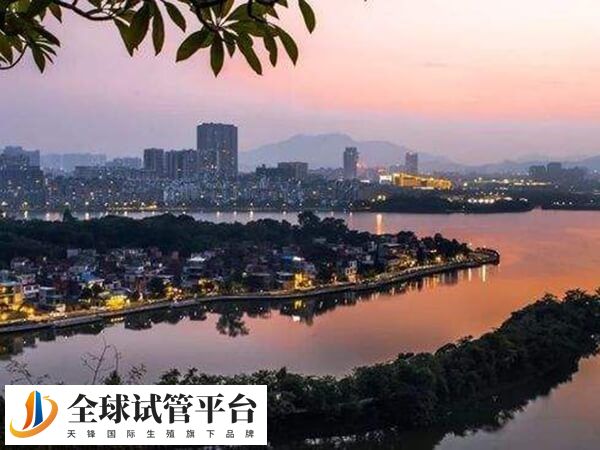 肇庆哪家生殖科医院试管婴儿助孕技术比较好？