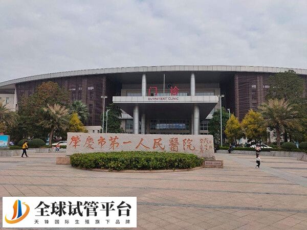 肇庆市第一人民医院做试管婴儿多少钱？有费用清单吗？