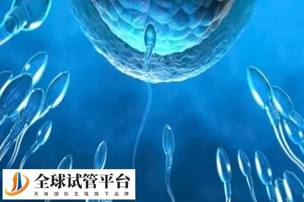 2023惠州哪家医院可以做三代试管生孩子？