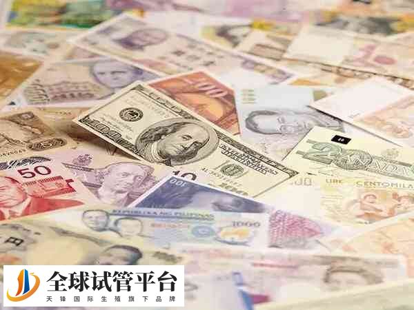 惠州正规的三甲医院做试管婴儿费用能报销吗？