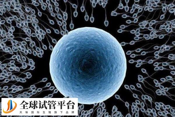 惠州地区的试管婴儿成功率如何？成功率跟年龄有关吗？