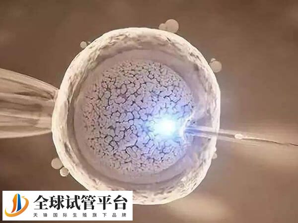 揭阳哪家试管医院可以供卵生孩子？
