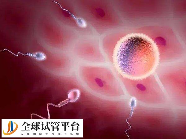 揭阳当地没有医院可以做三代试管