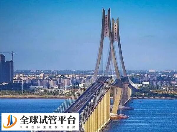 湛江私立的生殖医院做试管婴儿成功率怎么样？