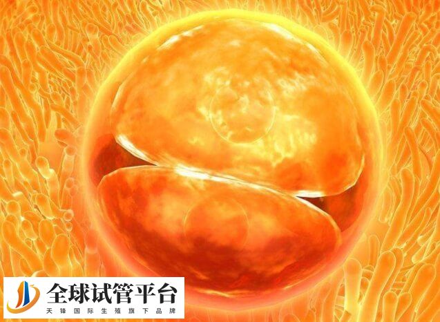 广东湛江有没有三代试管医院