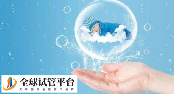 湛江有哪些医院可以申请做供卵试管？