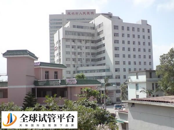 茂名人民医院可做供卵试管