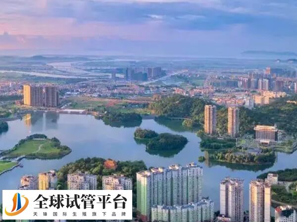 阳江有医院可以供卵做试管婴儿吗？