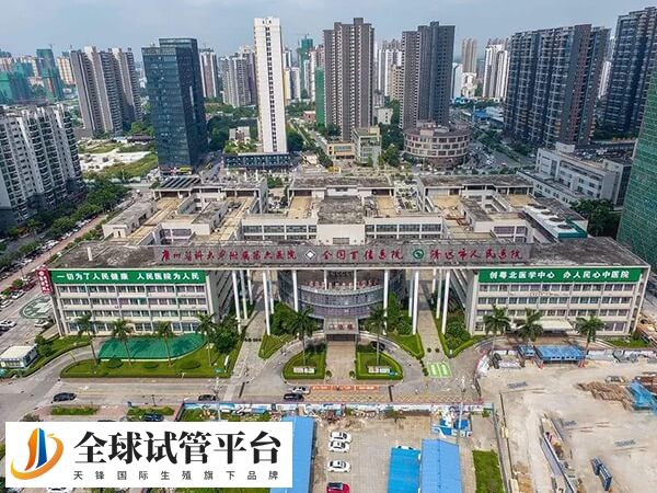 清远人民医院做一次3代试管婴儿费用多少？