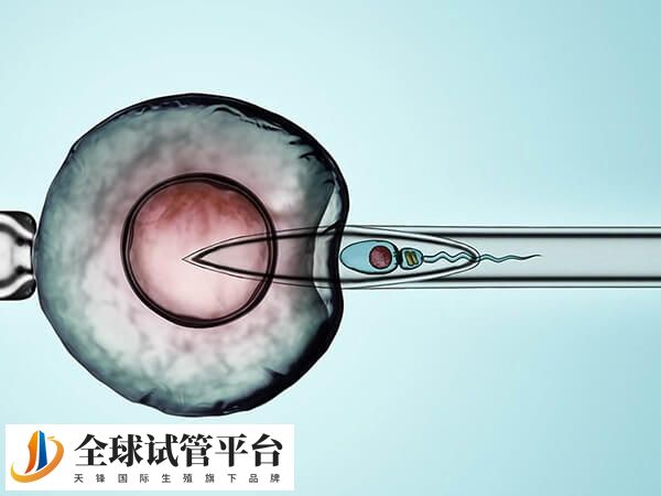 清远私人医院做试管婴儿8万包生男孩靠谱吗？