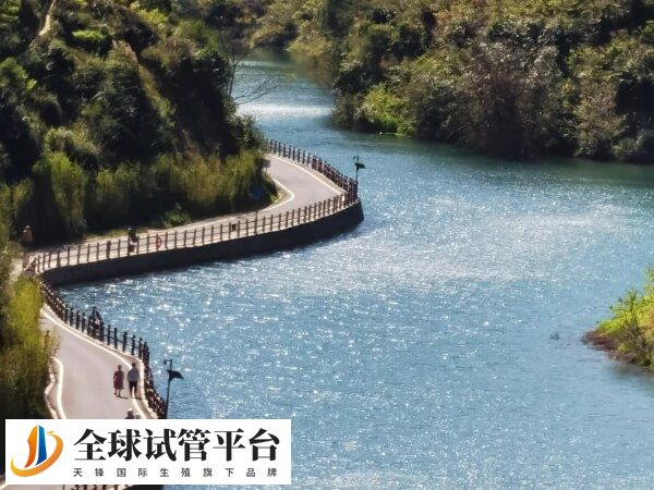 梅州哪里的公立医院可以做试管婴儿？