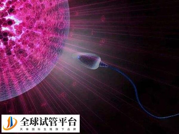 在黄塘医院做试管婴儿大致要花4万多左右