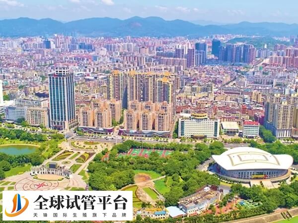 河源哪里有可以做供卵试管婴儿的生殖医院？