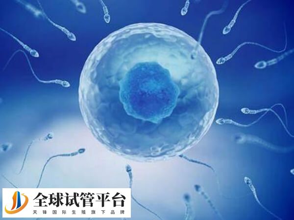 供精只收储存费