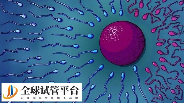 申请供精要有适应症