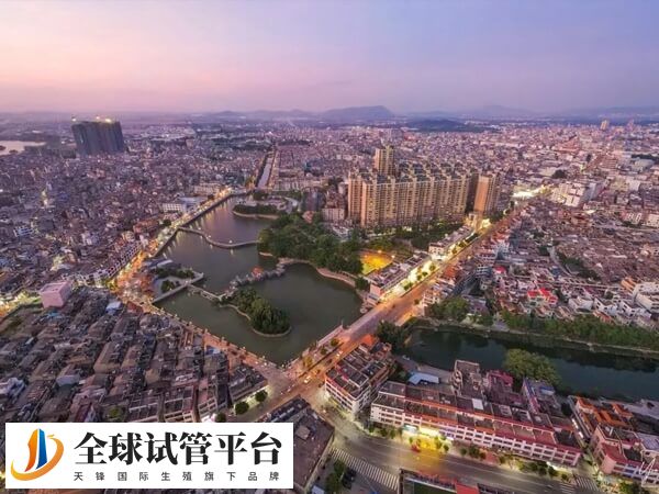 揭阳私立机构做试管婴儿选男女要多少钱？