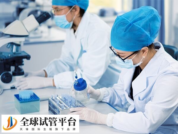 百色哪里可以做三代试管？