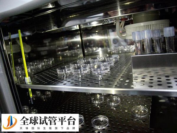 河池地下试管医院供卵包生男孩是骗局吗？