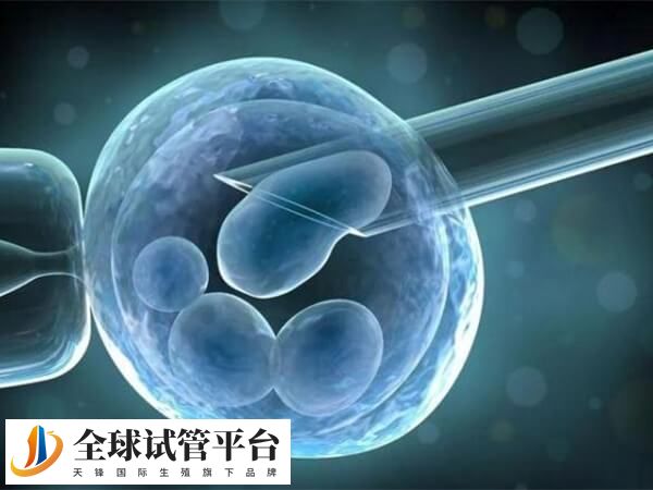 贺州有能做试管婴儿的医院吗？