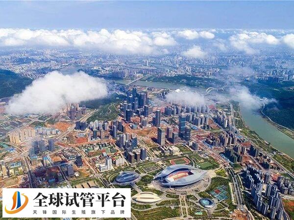 南宁有没有可以做供卵试管婴儿的公立医院？