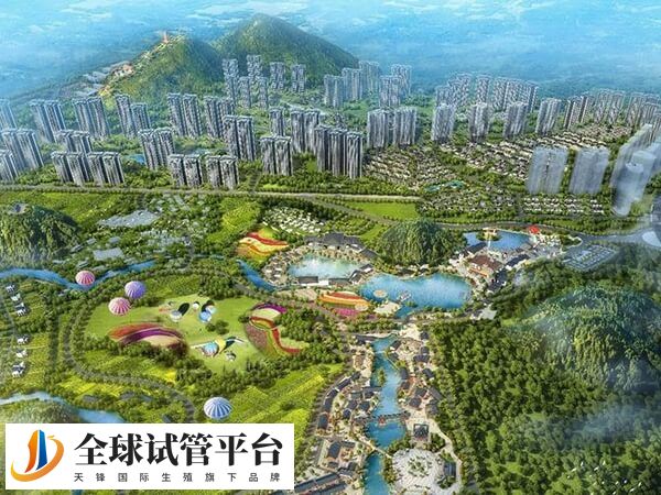 南宁三甲医院做一次第三代试管婴儿费用多少？